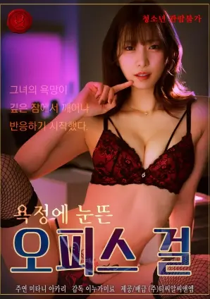 总裁的第七次求婚 海报